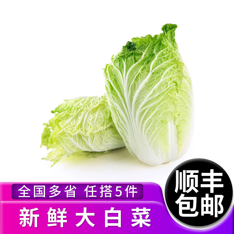 本地大白菜当季时令新鲜大白菜农家自种蔬菜包心菜整颗白菜