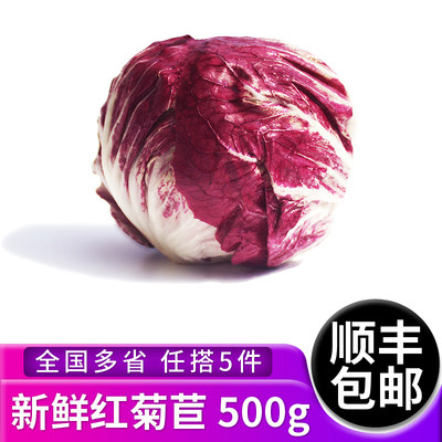 绿食者 红菊苣500g 落地红球生菜新鲜蔬菜沙拉食材 西餐配菜 紫苣