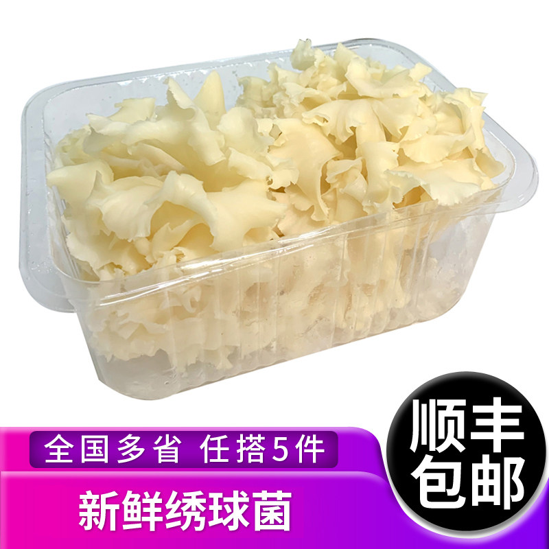 绣球凉拌火锅酒店5件食用菌菇图片
