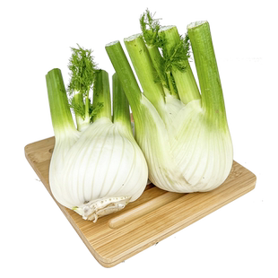 新鲜茴香头约1斤 茴香根茴香球茎西餐香料蔬菜炒牛肉食材 5件包邮