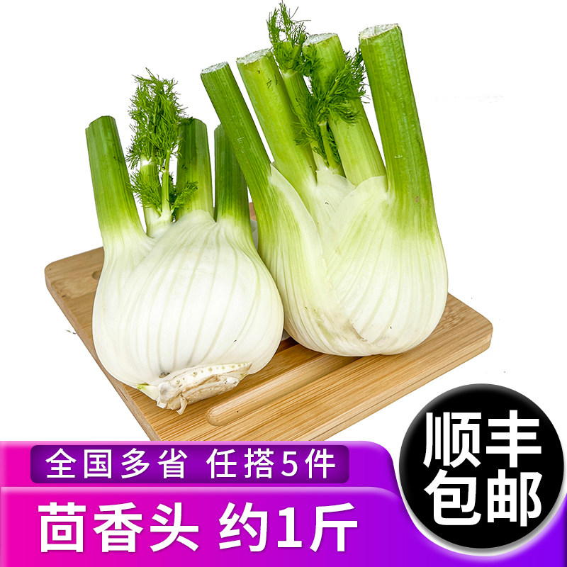 新鲜茴香头约1斤 茴香根茴香球茎西餐香料蔬菜炒牛肉食材 5件包邮