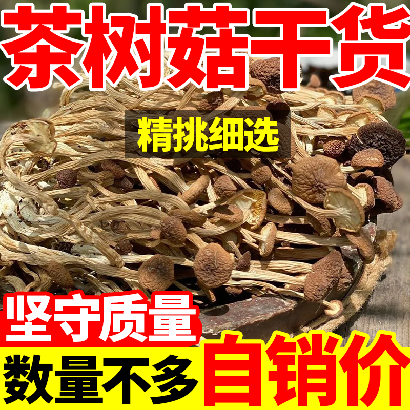 云南正宗茶树菇干货官方旗舰店500g煲老鸭汤散装新鲜特级新货