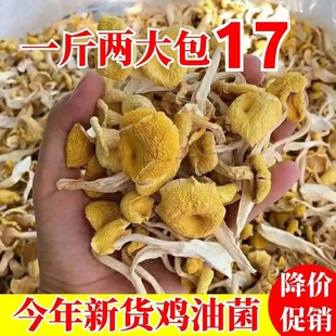 鸡油菌干货500克云南菌子新鲜榆黄蘑干菇菌菇煲汤香菇菌磨菇类