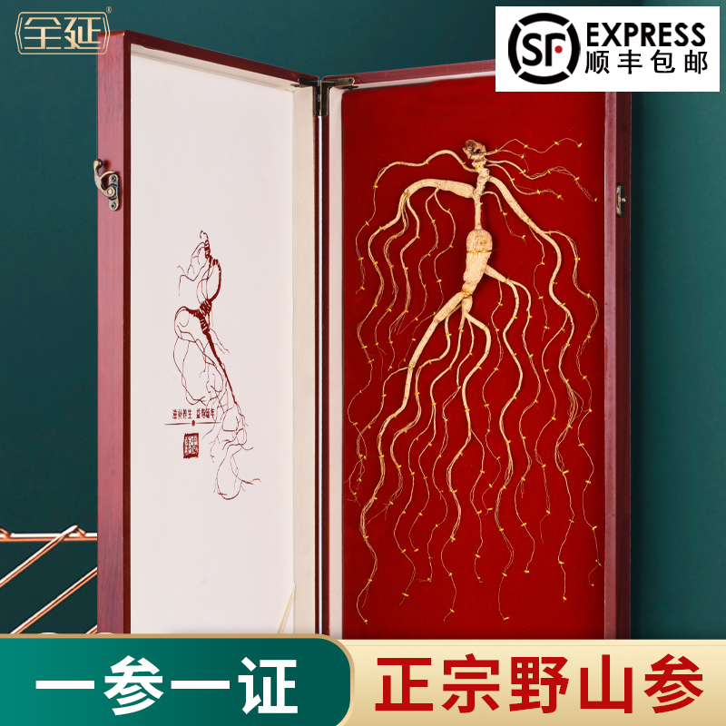 国检长白山野山参林下野生人参送礼高档东北山参礼盒装带证书