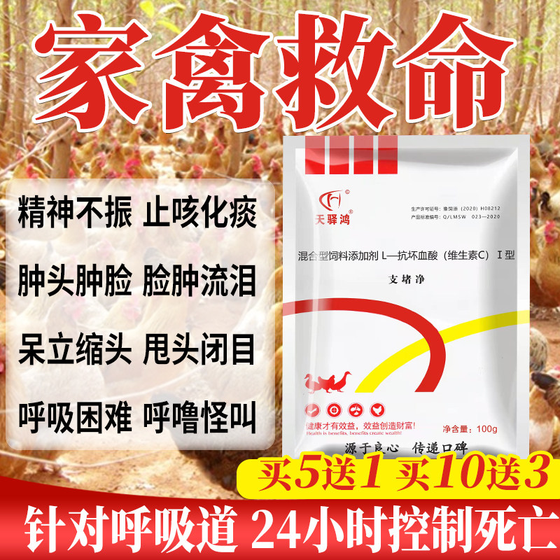 养鸡专用药鸡病全治救命药支堵净家禽感鸡冒瘟发呼烧噜流感鸡鸭鹅