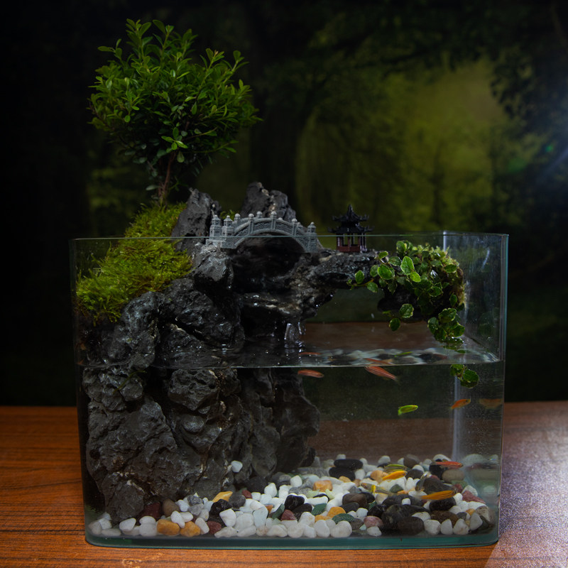 悬亭 小叶赤楠玻璃苔藓绿植生态缸真植物水陆景观室内桌面鱼缸,鲜花速递/花卉仿真/绿植园艺,苔藓微景观,淘宝优惠券,粉丝福利购,淘宝优惠卷