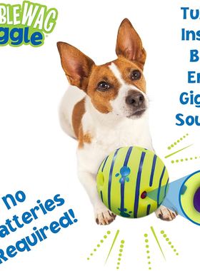 Wobble Wag Giggle Glow Ball Inactive Dog Toy Fun Giggle Sou1