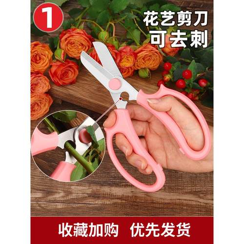 花艺剪刀鲜花修剪花卉花剪园艺不锈钢修花插花花店专用打刺修枝剪