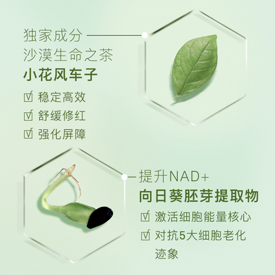 Acaderma赋活NAD+绿洲面霜50ml+替换芯50ml|D06