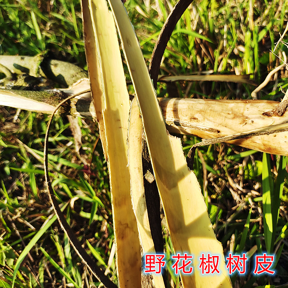 贵州狗屎椒花椒树皮山新鲜花椒图片