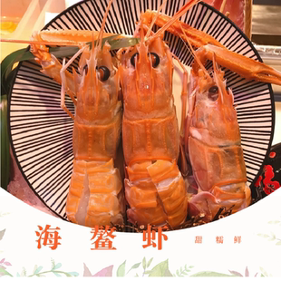 海鳌虾同款鲜活超大日料刺身生吃鳌虾非新西兰鳌虾海鲜