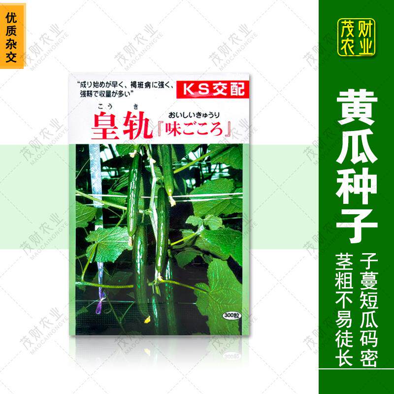 大一国际日本进口皇轨水果黄瓜种子胡瓜种青瓜无刺小黄瓜300粒