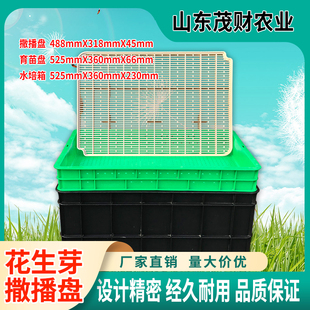 厂家直销水培花生芽培育箱 撒播盘 花生芽撒播板三件套撒播板套装