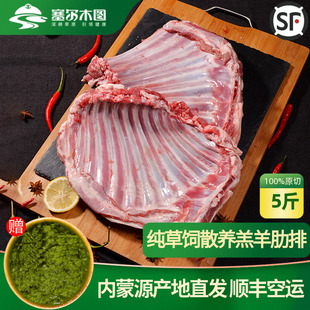 正宗锡盟小羔羊肋排羊排骨新鲜冷冻烤羊排食材原切羊排手把肉5斤
