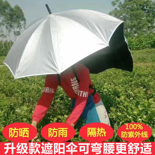 摘茶叶可背式采茶伞遮阳伞采茶