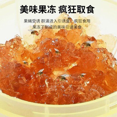 果蝇果冻丁诱饵去除蚤蝇诱捕器