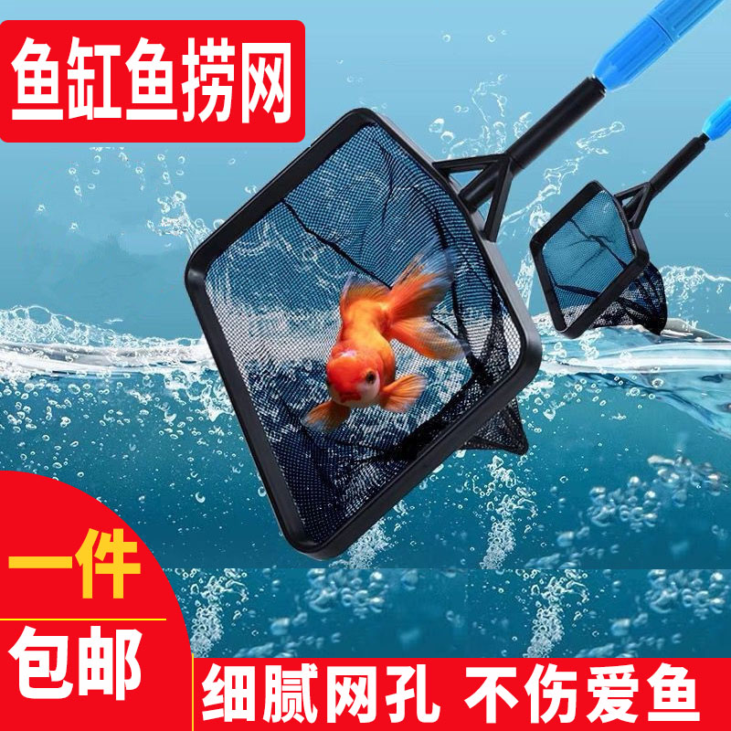 鱼捞不伤鱼可伸缩大号鱼缸鱼捞网小号密网方形水族儿童捞鱼网兜