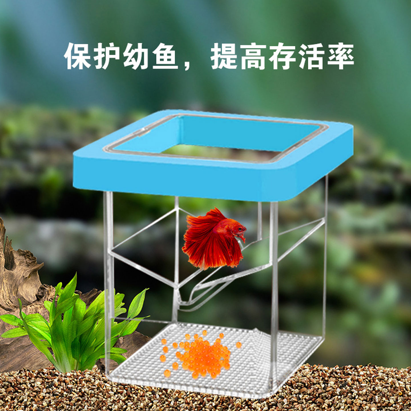 小鱼繁殖隔离盒母鱼小型鱼漂浮鱼缸孵化器悬浮式孔雀鱼隔离繁殖盒