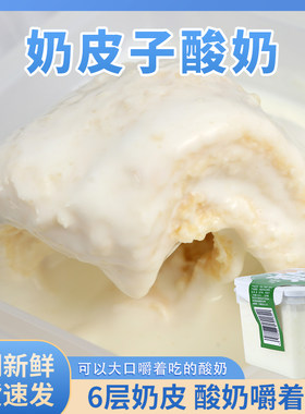 牧少主内蒙古鲜奶皮子酸奶8倍奶皮子酸奶plus