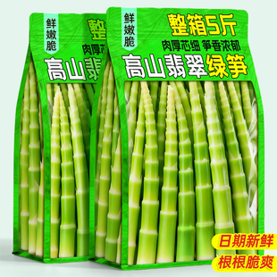高山翡翠绿笋火锅食材清水笋下饭菜非糯米笋嫩笋尖小竹笋新鲜商用