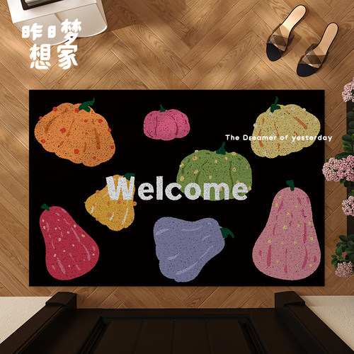 入户门地垫丝圈进门大门口防滑蹭土除尘脚垫可裁剪免清洗出租屋垫