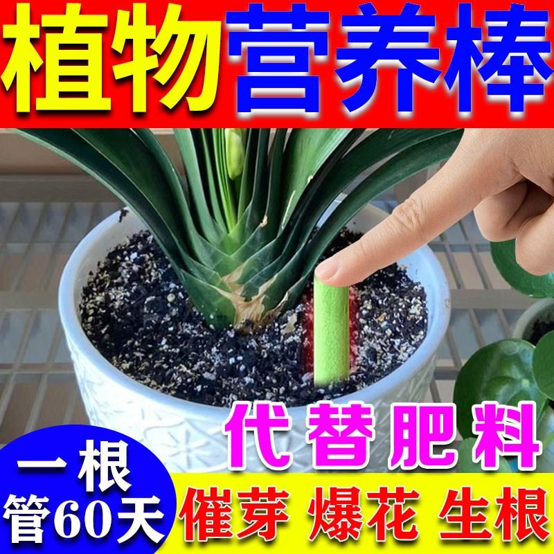 植物缓释营养棒控释营养颗粒肥氮磷钾复合肥缓释片促进开花的肥料