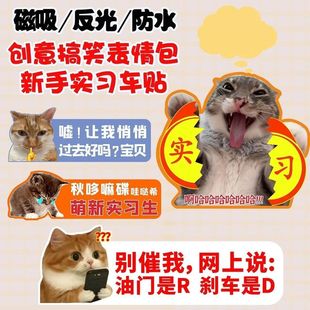 meme猫咪撕烂实习贴搞笑车贴耄耋南北绿豆创意装饰贴纸磁吸车贴