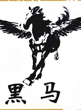 黑马校对30/31/Word/PDF单机版完美使用远程软件故障排除技术服务