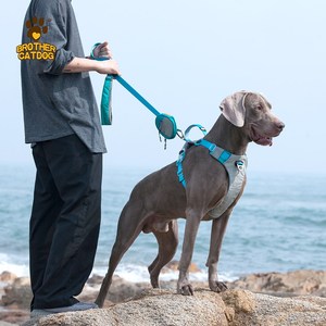 可提拉胸背带遛狗式防爆绳中大型犬户外宠物用品背心冲狗狗牵引绳