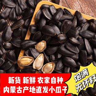 黑珍珠瓜子葵花籽现炒原味油葵内蒙新货原味瓜子零食向日葵籽批发