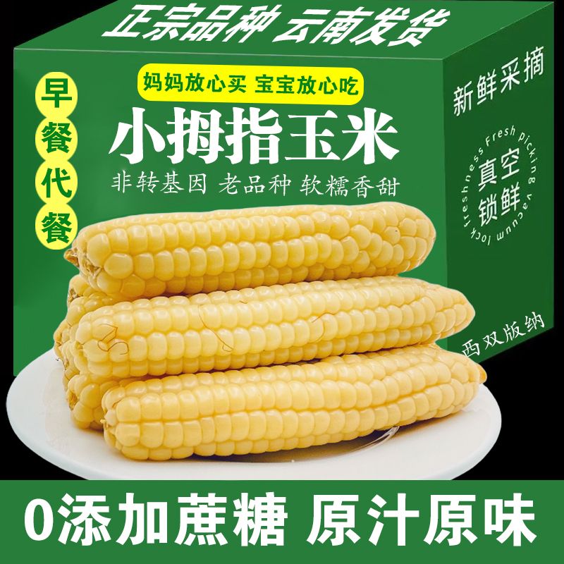 【当季】正宗香糯拇指小玉米云南西双版纳新鲜非转基因低脂粗粮