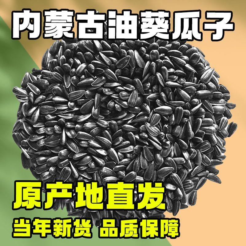 黑珍珠瓜子葵花籽原味油葵自封口包装内蒙新货独立炒货零食批发