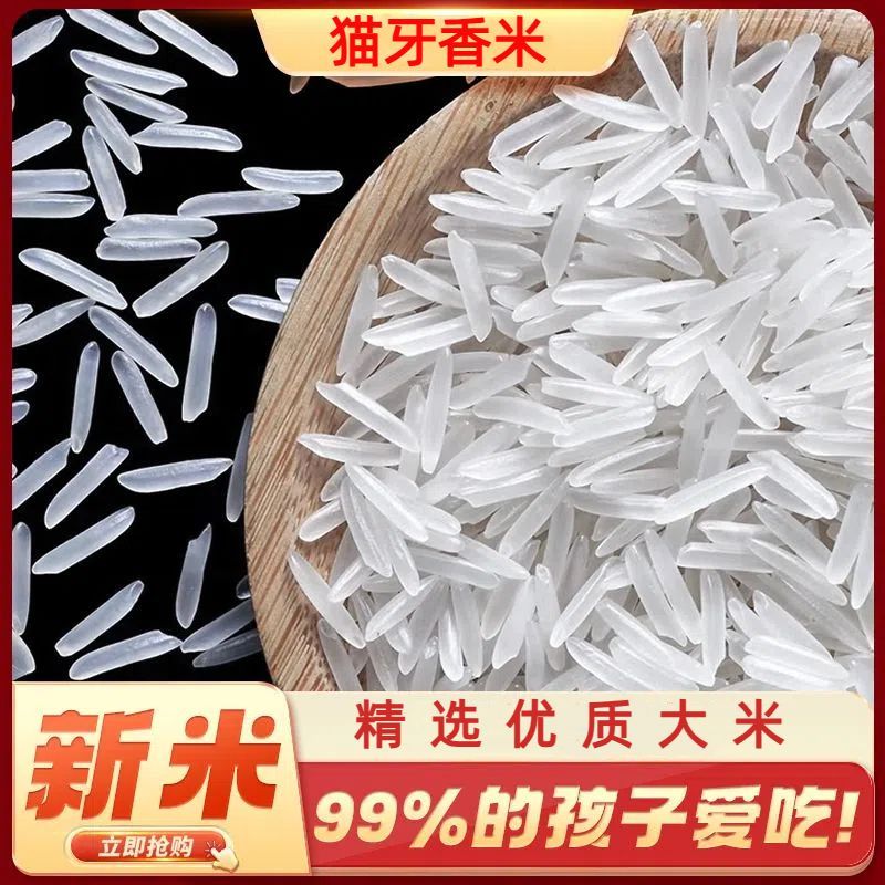 【60斤特价】商用新米广西猫牙米大米正宗农家超长粒晚稻香米丝米