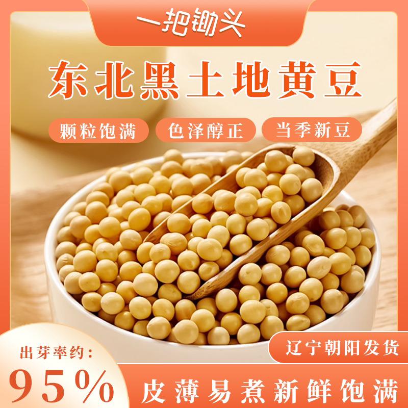 东北朝阳笨黄豆能发豆芽农家老品种小粒2斤非转黄豆豆腐豆浆原料