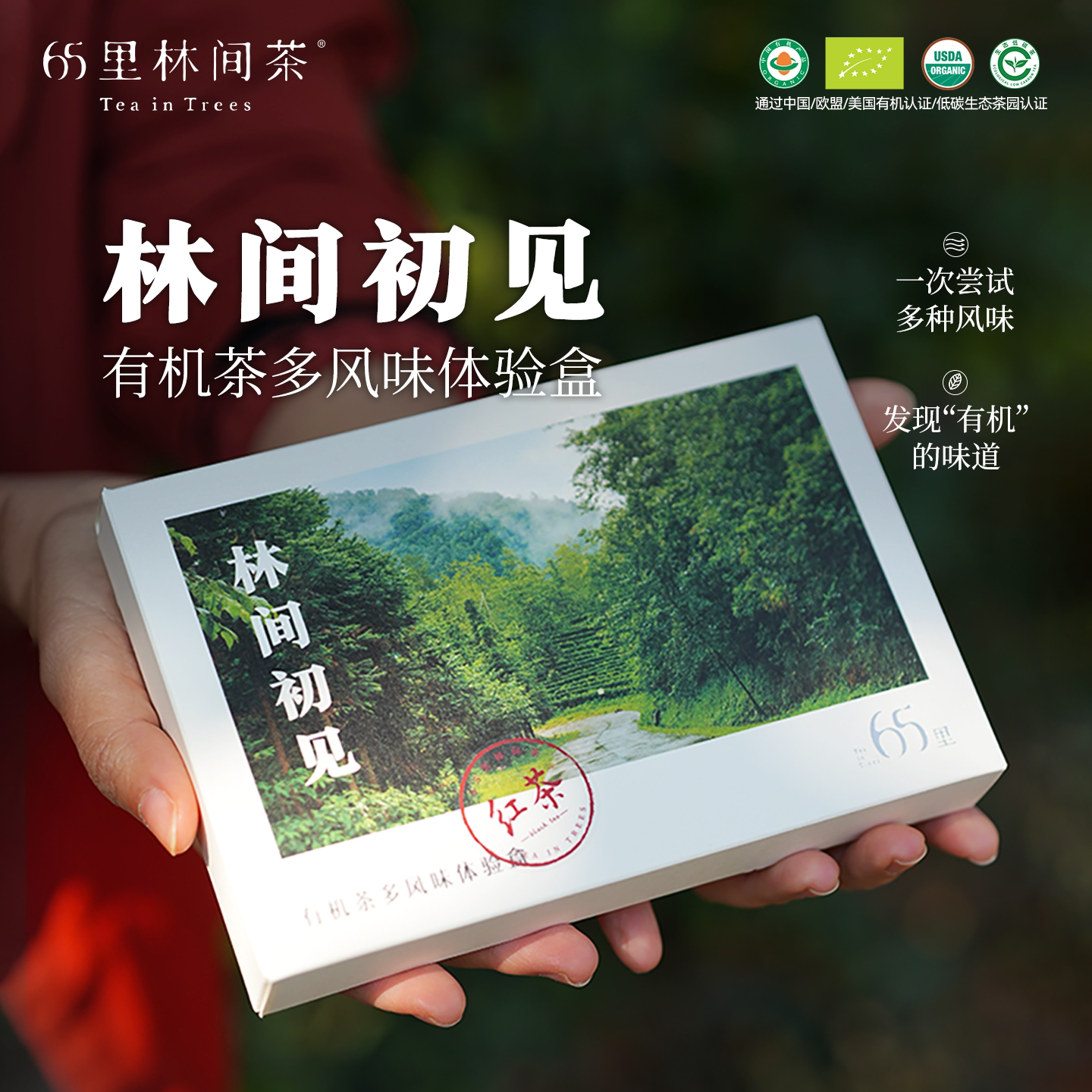 65里林间茶有机红茶体验品鉴装独立试饮四国有机认证茶叶12g