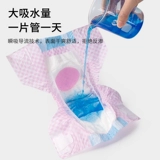 Физиологические брюки Dono Cat Моча, а не влажные, домашние подгузники, менструальные брюки тети, гигиеническая салфетка, кот кошка кошки кошки кошки