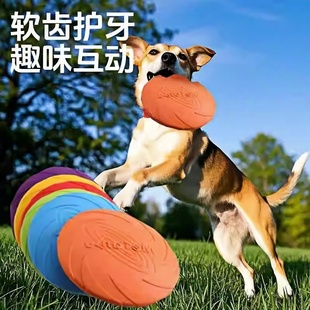 狗狗飞盘耐咬训狗互动专用金毛边牧赛级小型犬宠物飞盘训犬玩具