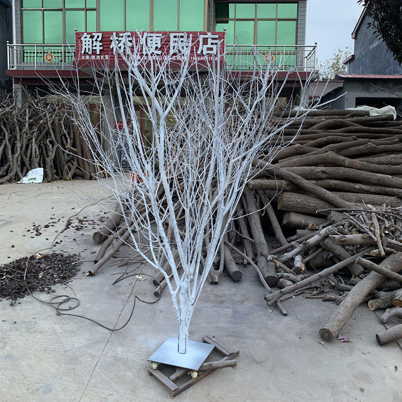天然香樟树 许愿树 造型树枯树枝 白树枝白树干婚庆婚礼活动道具
