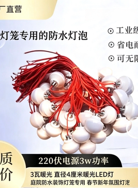 户外防水大红灯笼专用LED暖光带