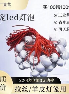 红色led灯暖光带线户外防水庭院大门春节新年装饰大红灯笼专用灯