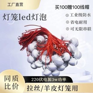 红色led灯暖光带线户外防水庭院大门春节新年装饰大红灯笼专用灯