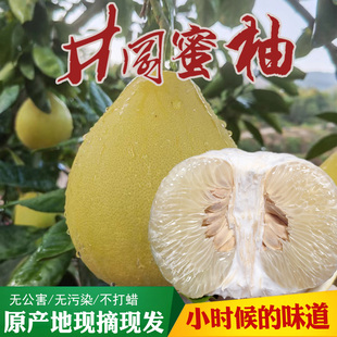 井冈蜜柚江西井冈山特产白心肉柚孕妇水果新鲜老品种柚子金沙柚