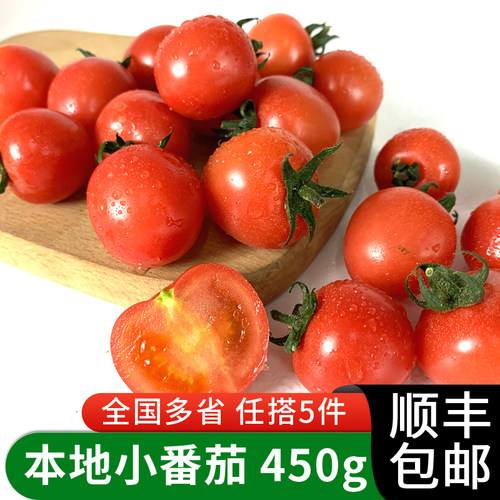 绿食者 上海本地小番茄450g 新鲜水果迷你樱桃番茄 满5件包邮