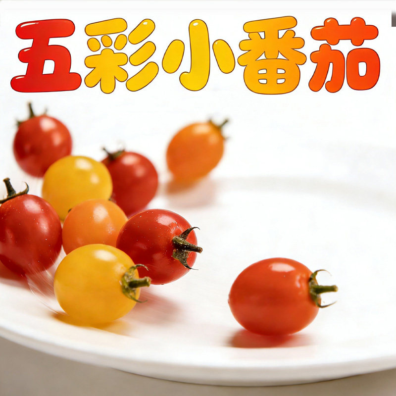 新鲜五彩小番茄450g 彩色小西红柿酸甜小番茄圣女果 满5件包邮