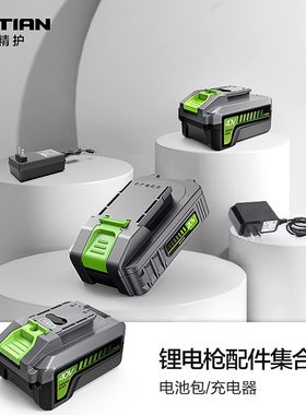 绿田锂电洗车机电池无线手持