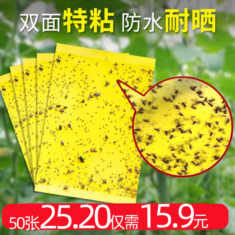 双面粘虫板黄色粘蝇板苍蝇板防水诱虫板篮板果园大棚粘板果蝇针峰