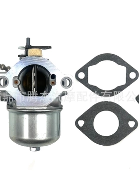 适用于百力通 699831 694941 499158 283702 园林化油器