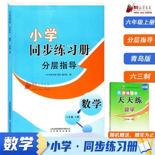 潍坊地区专用赠旧版 2025秋小学同步练习册 青岛版 数学六年级上册 天天练数学六年级上册9787570121885 分层指导
