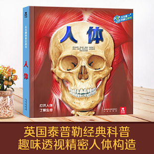 新华书店正版 趣味科普立体书 乐乐趣低幼学习认知 送给儿童孩子青少年积极引导青春期生理健康知识科普人体组织器官讲解 人体V4.1