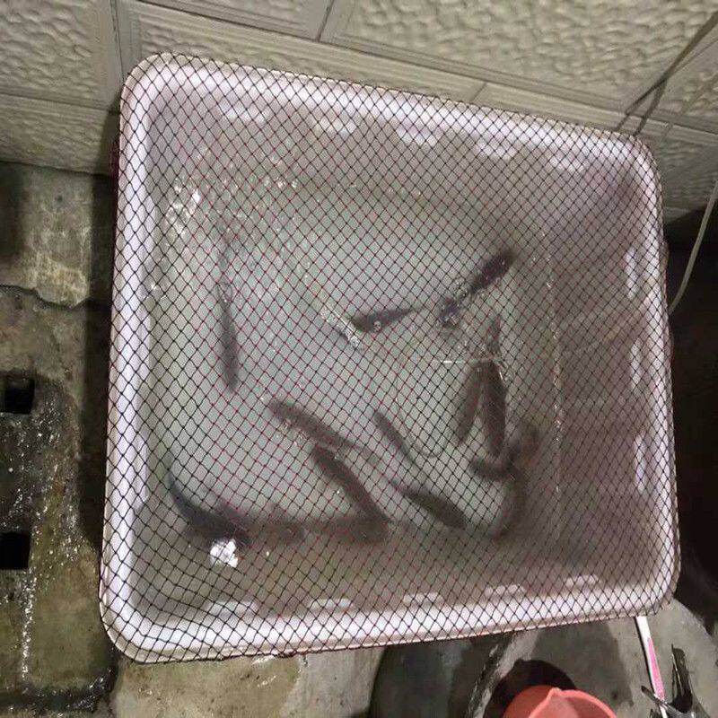 鱼缸防跳网罩圆缸网罩锦鲤小型鱼池防跳网防猫抓防落叶可定做